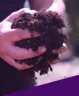 beginners grow guide