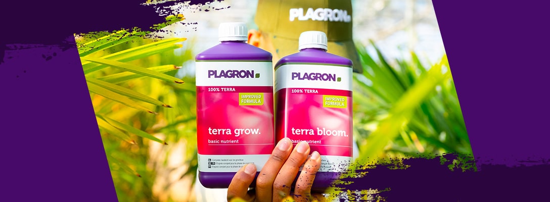 Terra Grow and Terra Bloom: even better in 2023! 