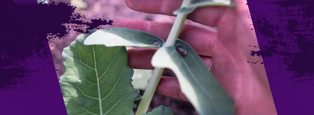 What influence does nature have?