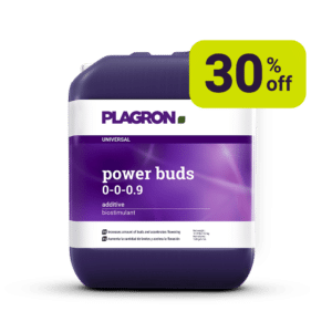 Power Buds -30%