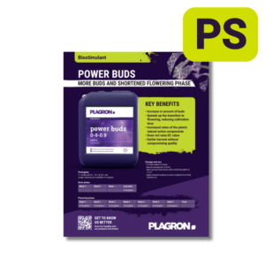 Power Buds Sales Sheet<br><span>PS Item</span>