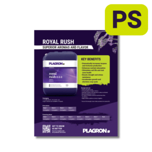 Royal Rush Sales Sheet<br><span>PS Item</span>