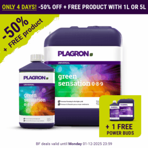 BlackFriday_2025_Green-Sensation