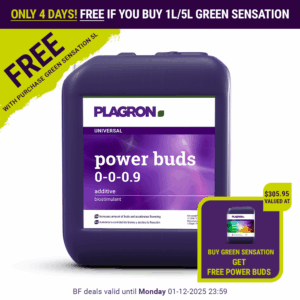 BlackFriday_2025_Power-buds